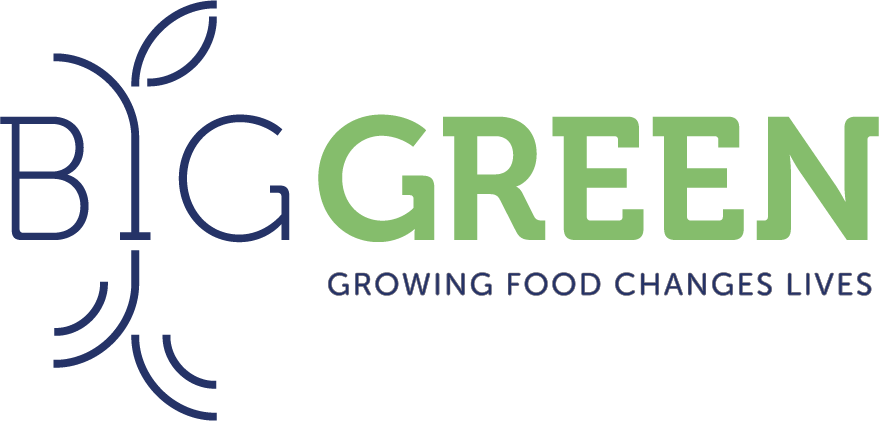 Big Green Logo