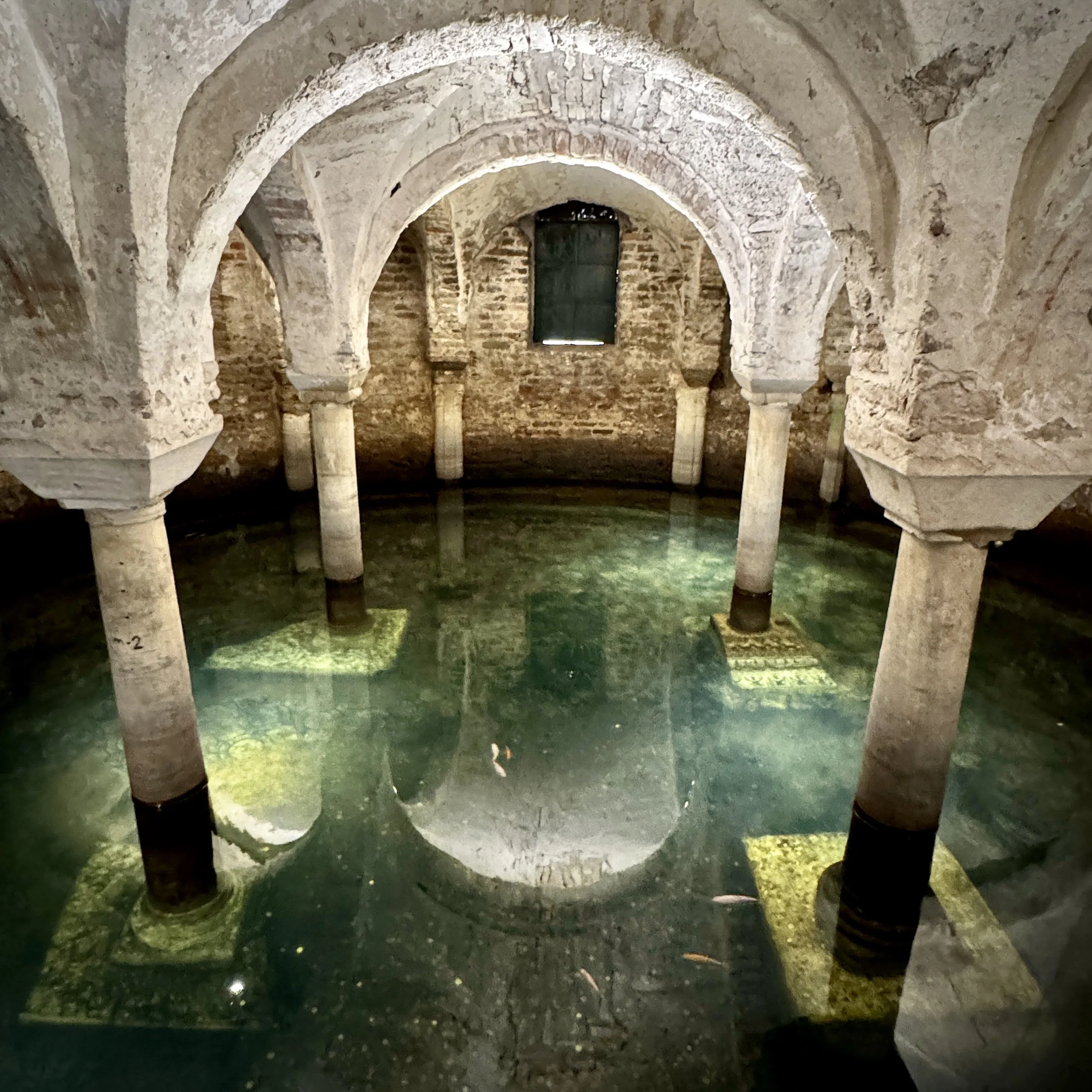 Ports, Plans and Plot Twists: Ravenna Before the Cruise