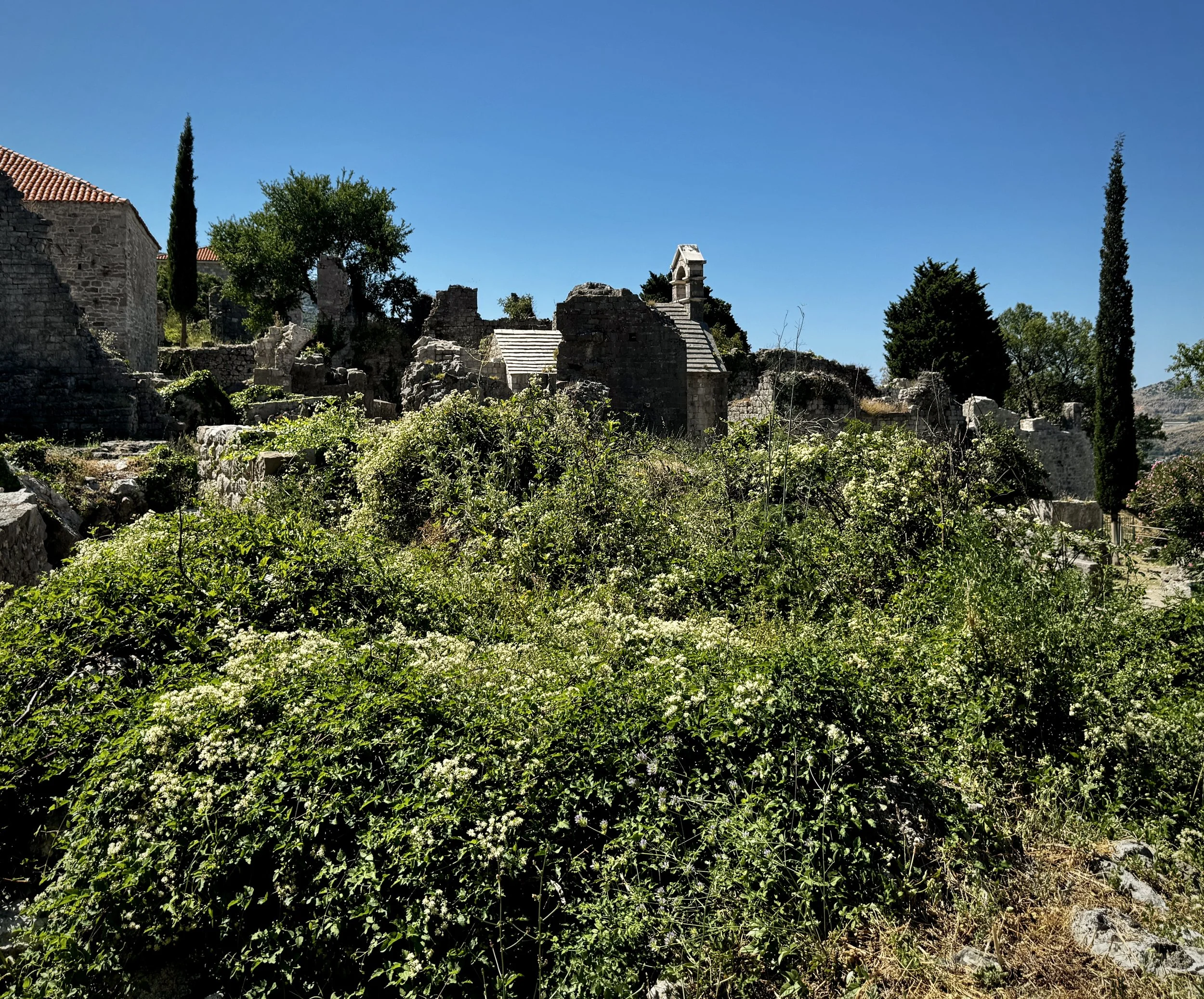Overgrown stone ruins and historic buildings inside Stari Bar, Montenegro.
