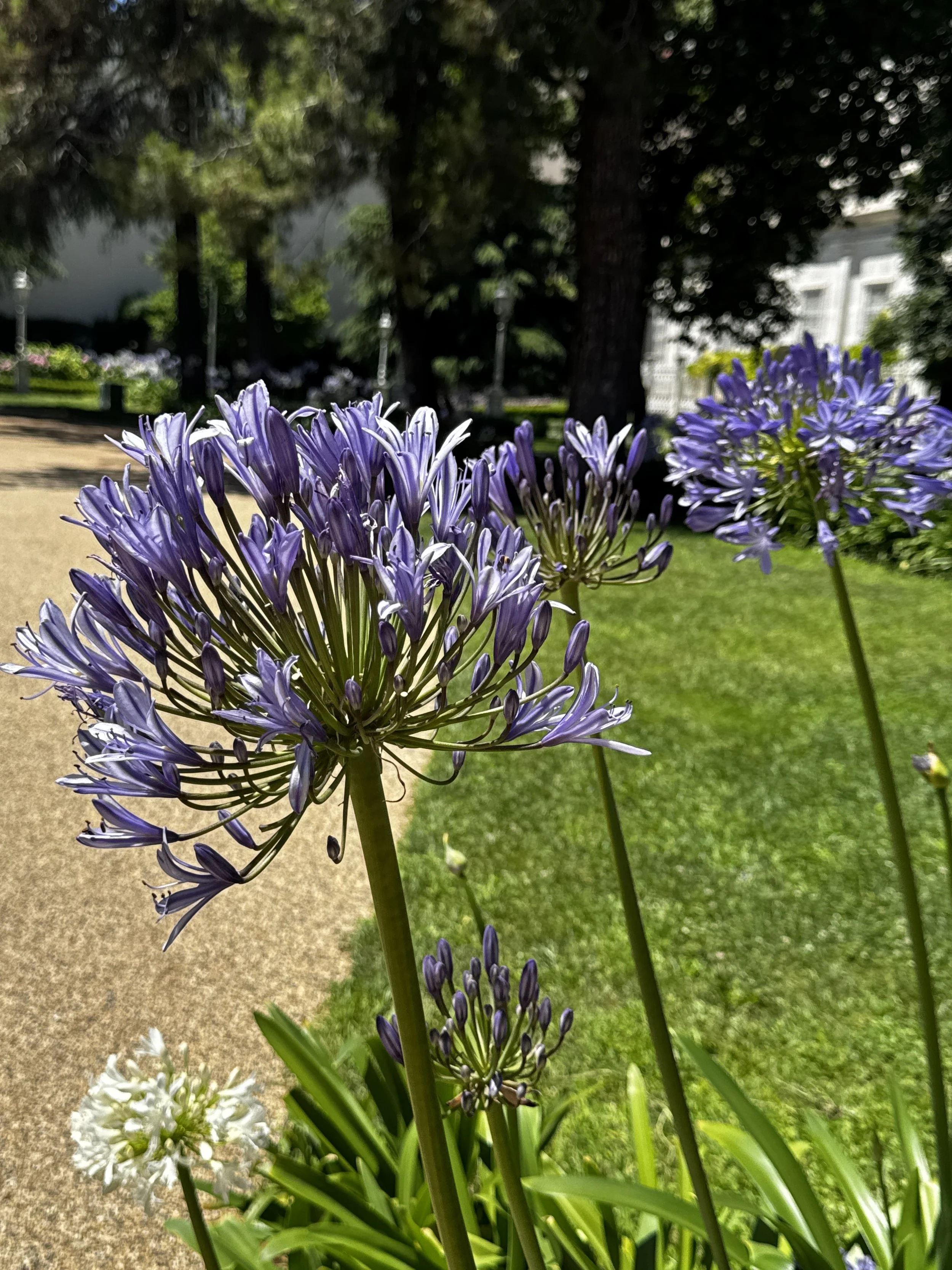 IMG_3867.jpeg