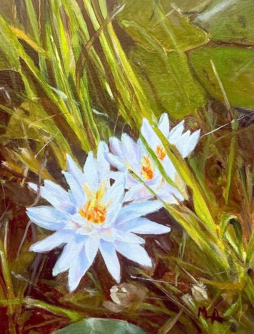 Water Lilies