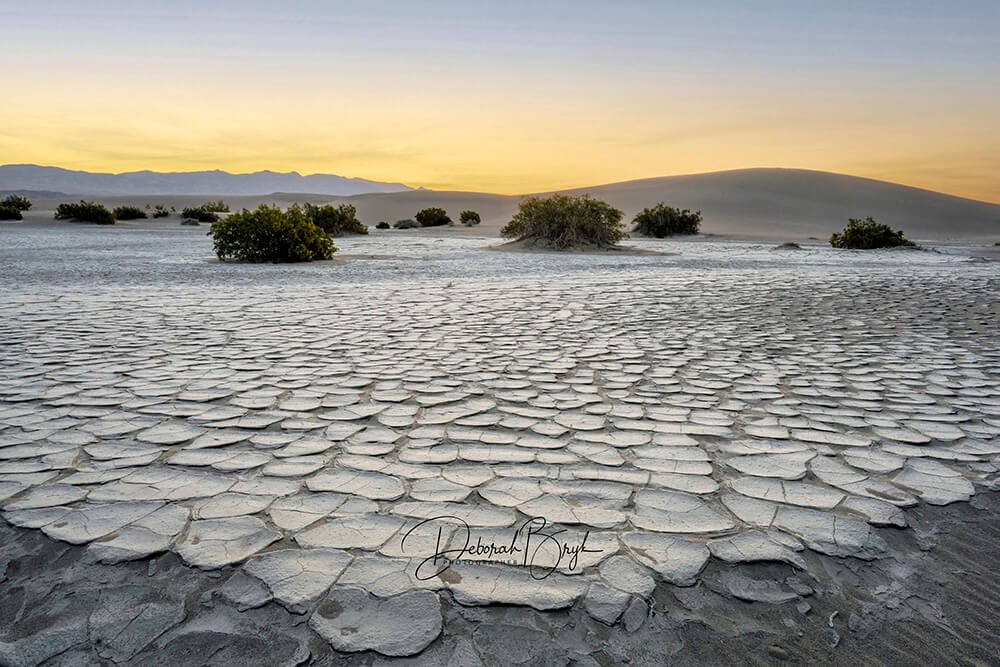 Mesquite Dune Mudcracks Death Valley