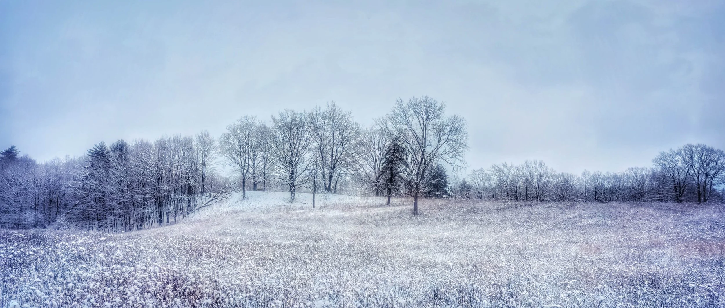 Saratoga National Historical Park