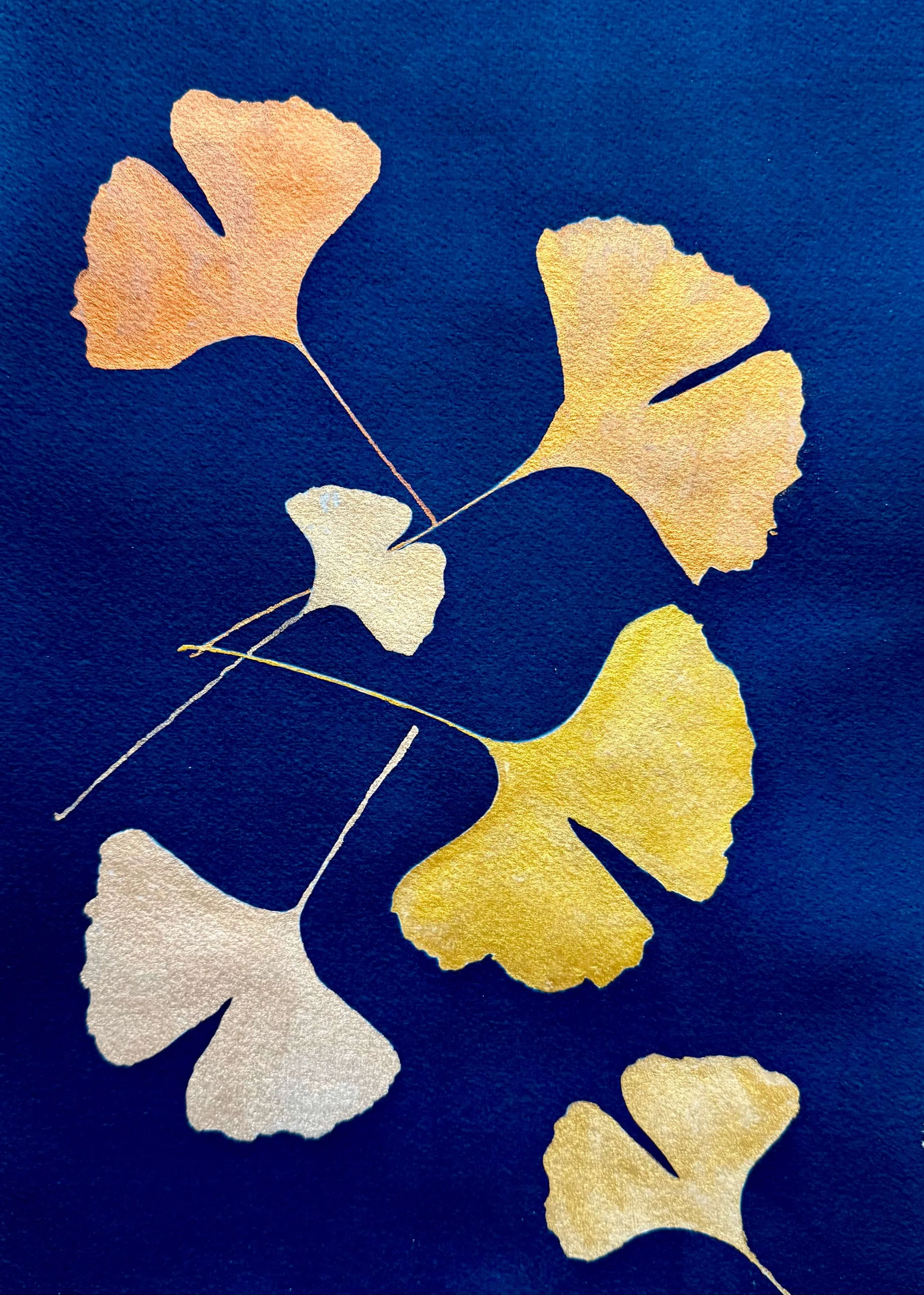 Ginko Leaves