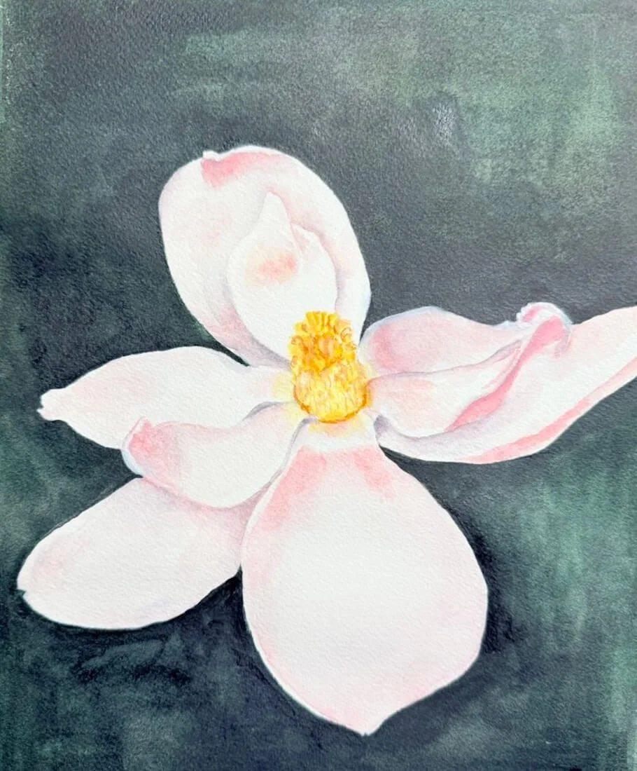 Magnolia