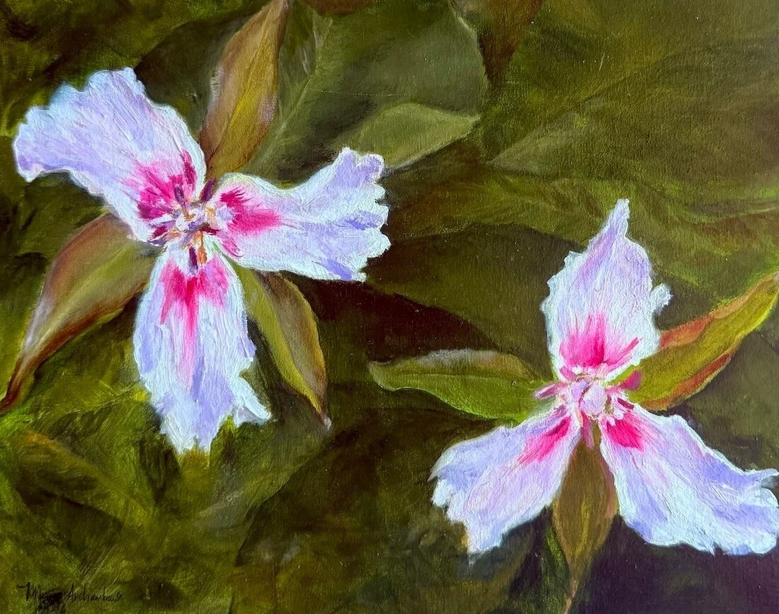 Painted Trillium