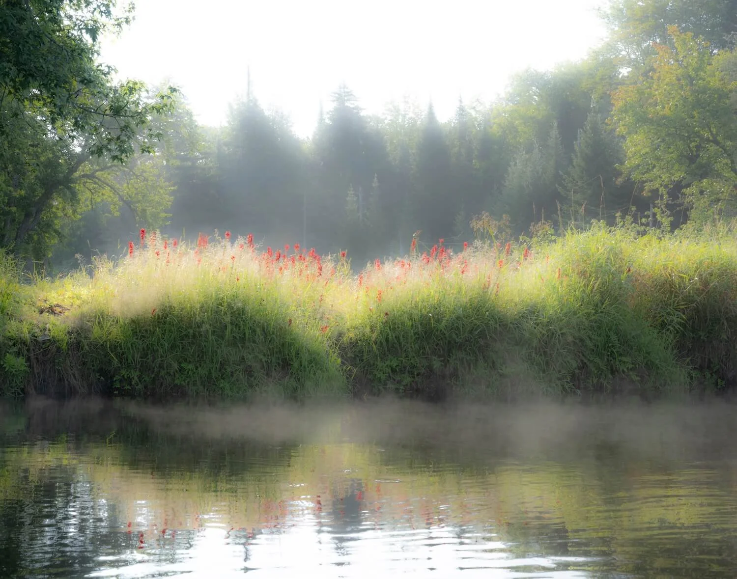 River Awakening