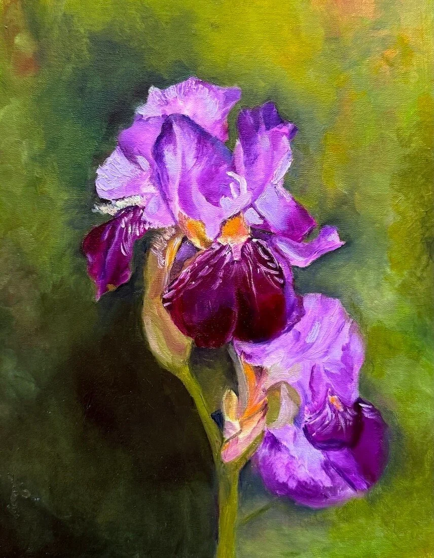 Iris