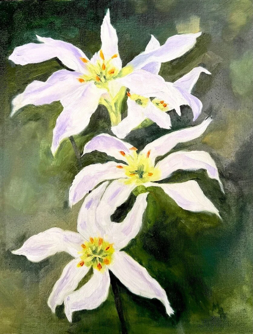 Rain Lilies
