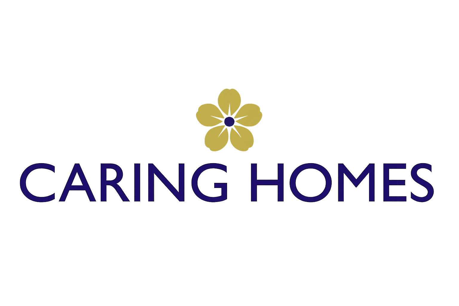 Illuminated sign for Caring Homes featuring a yellow flower with a purple center, colorful abstract background with streaks of pink, purple, blue, and green.