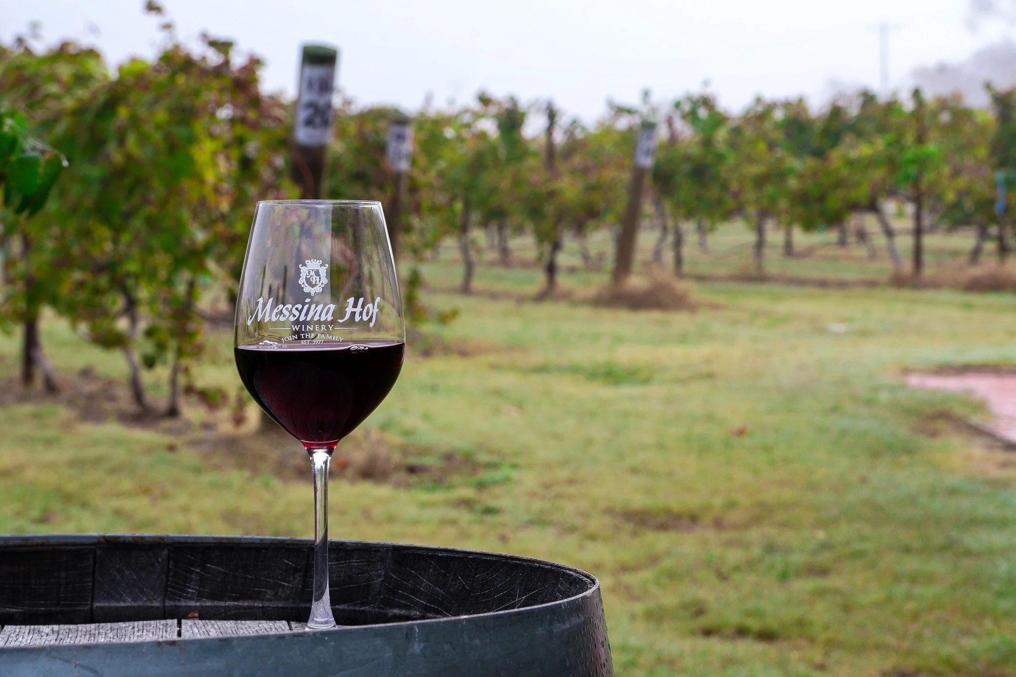 Messina Hof Winery:
A wine tasting for up to six guests