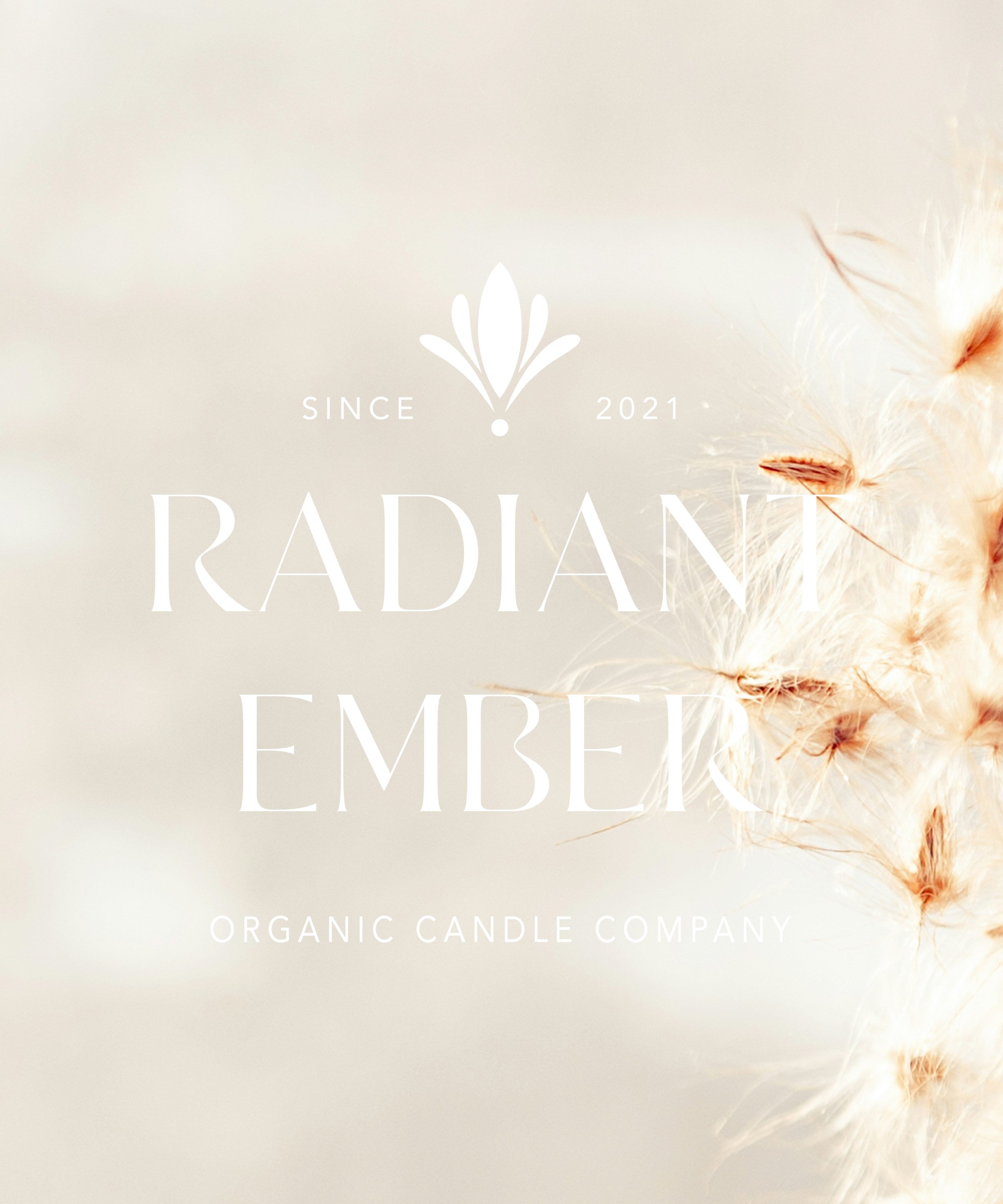 Classic luxury logo design for beauty brands, interior designers, or photographers