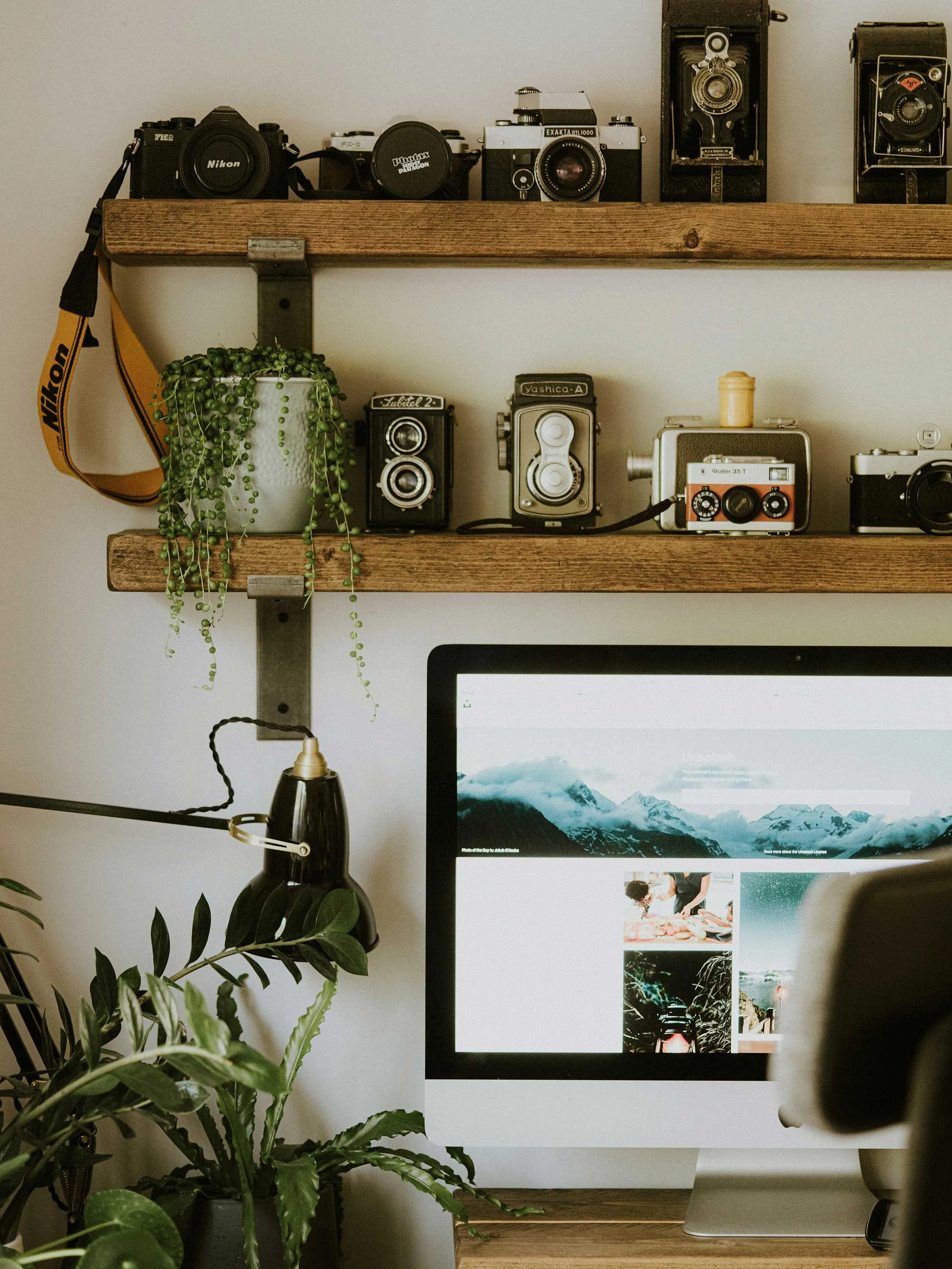 A workspace with a computer monitor, a desk lamp, and a shelf containing vintage cameras and a green potted plant.