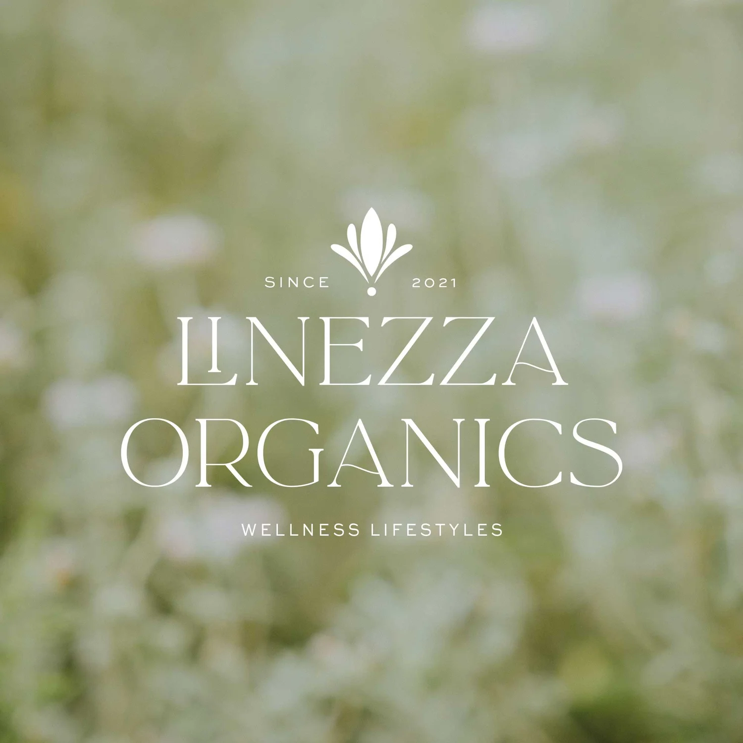 The Revolutionary Power of Prettyscale: How Design and Branding Meet Sustainability