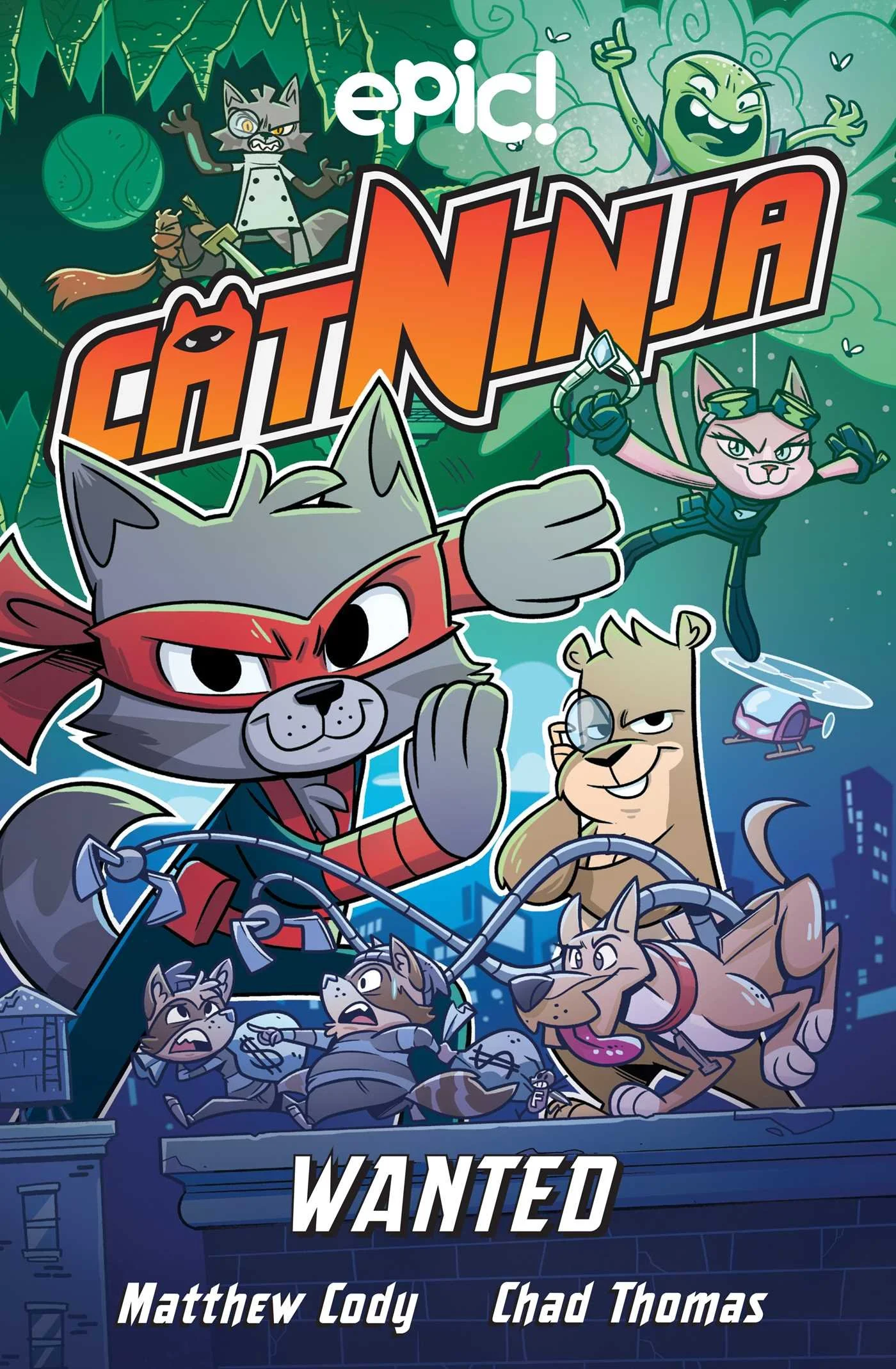 Cat Ninja v3.jpg