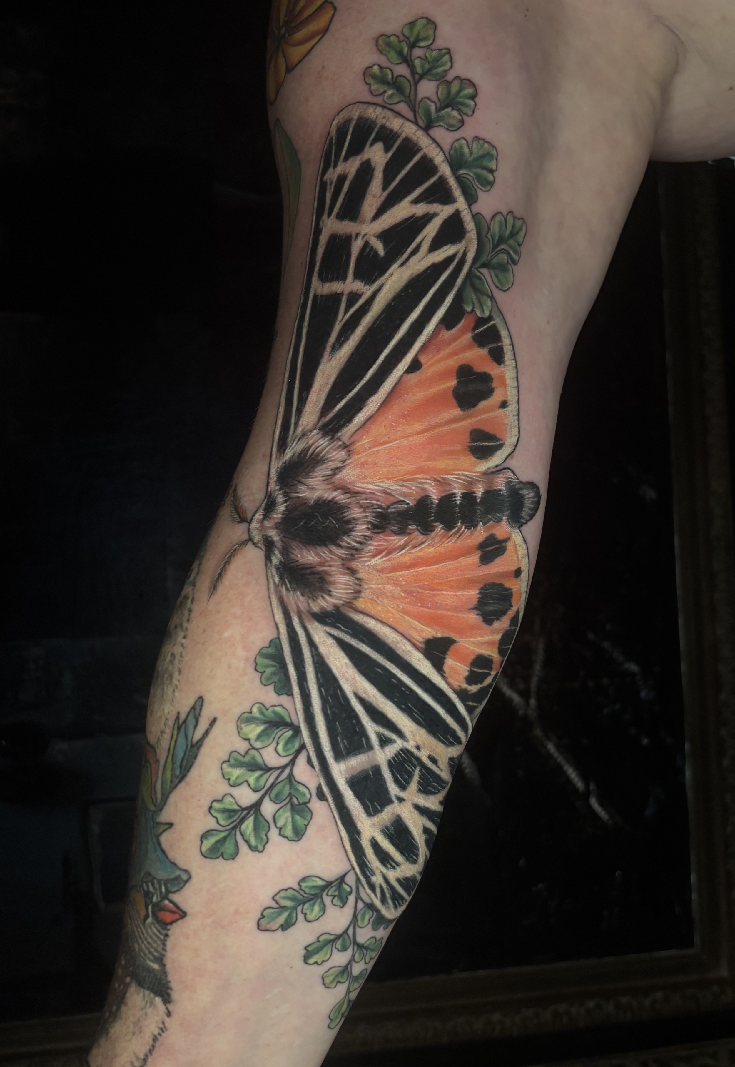 Tiger Moth & Fern, Color Realism Botanical & Insect Tattoo