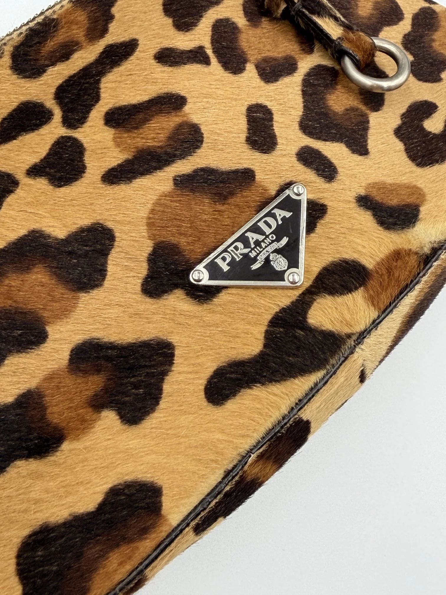 IMG_4642.jpeg