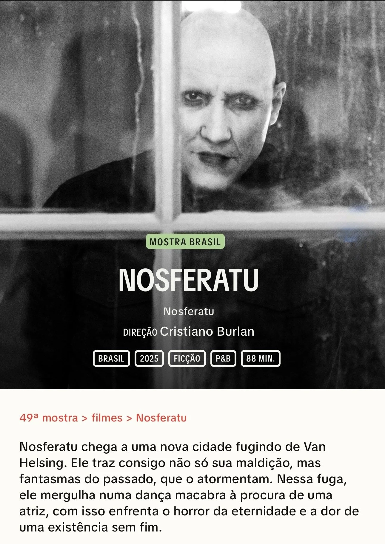 NOSFERATU CLIPPING DIVULG.jpg