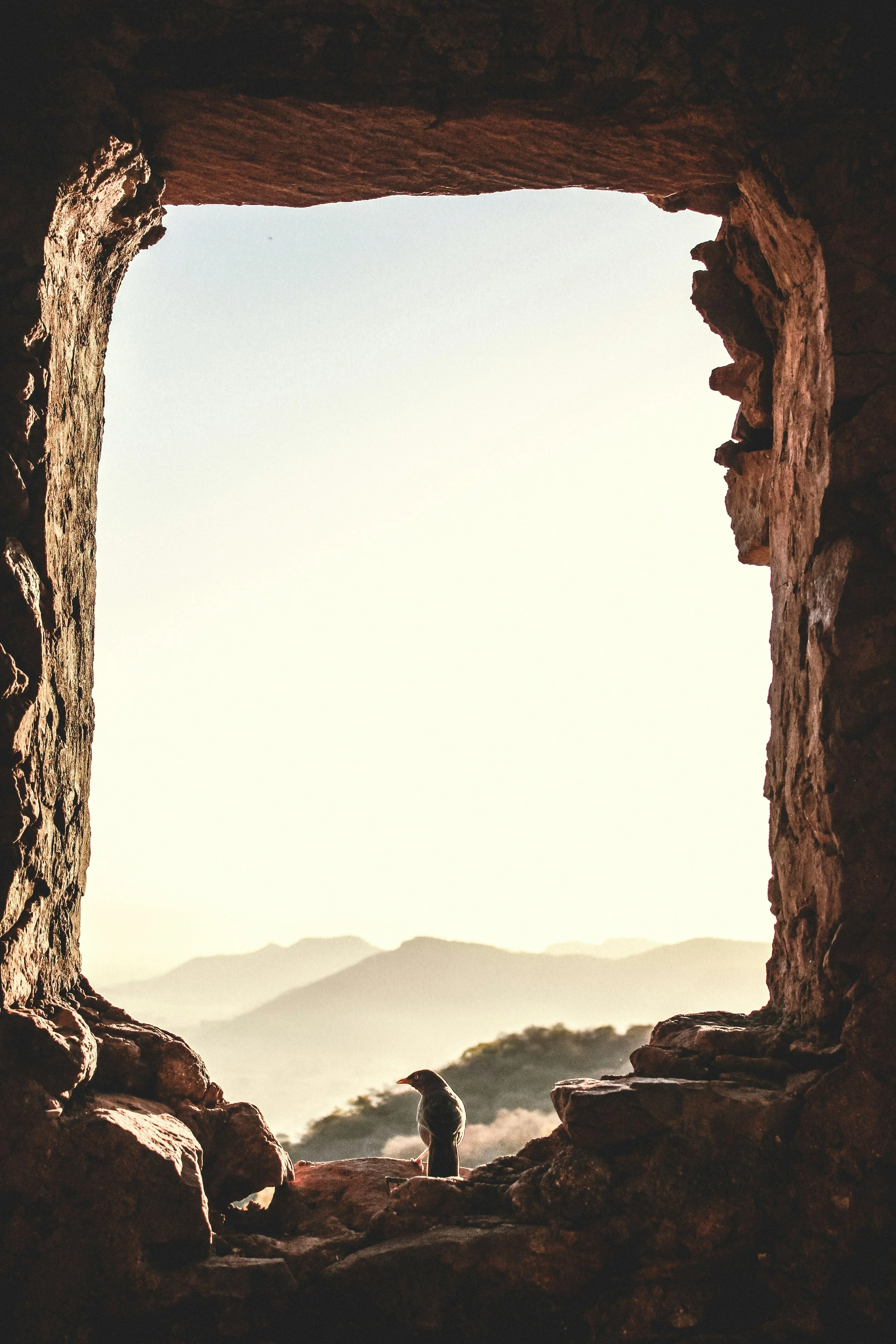The Zion I Choose