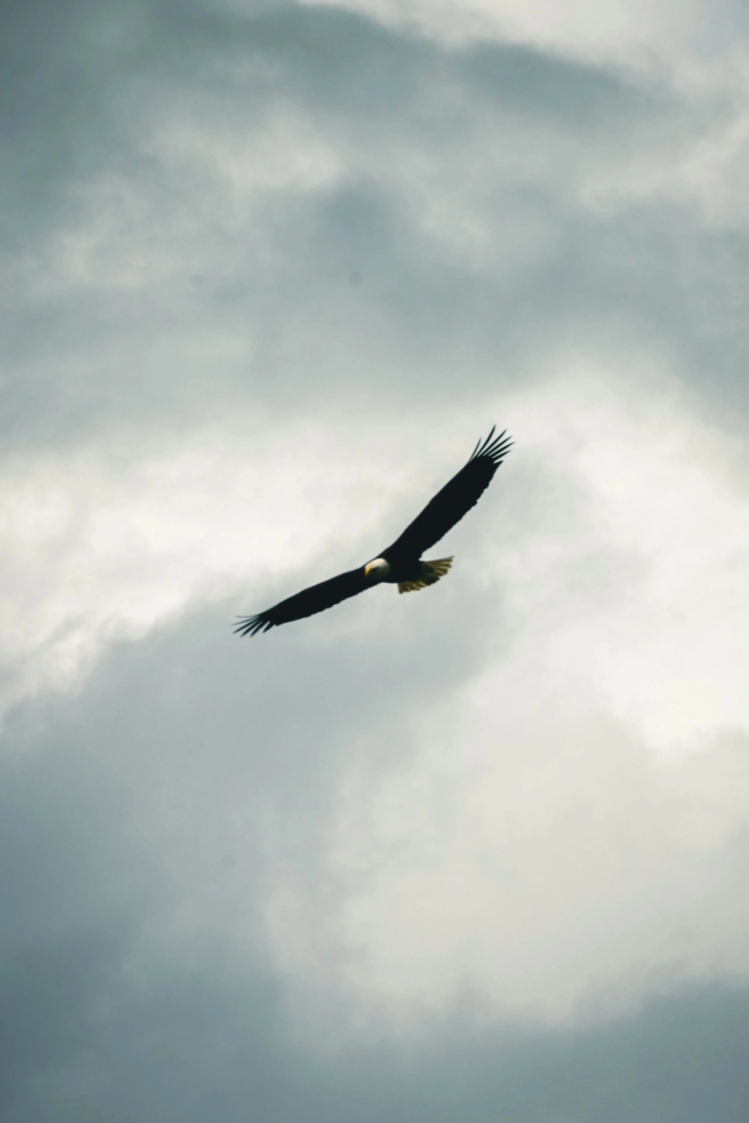 When They Go Low, We Go High - A Reflection on Altitude and Essence