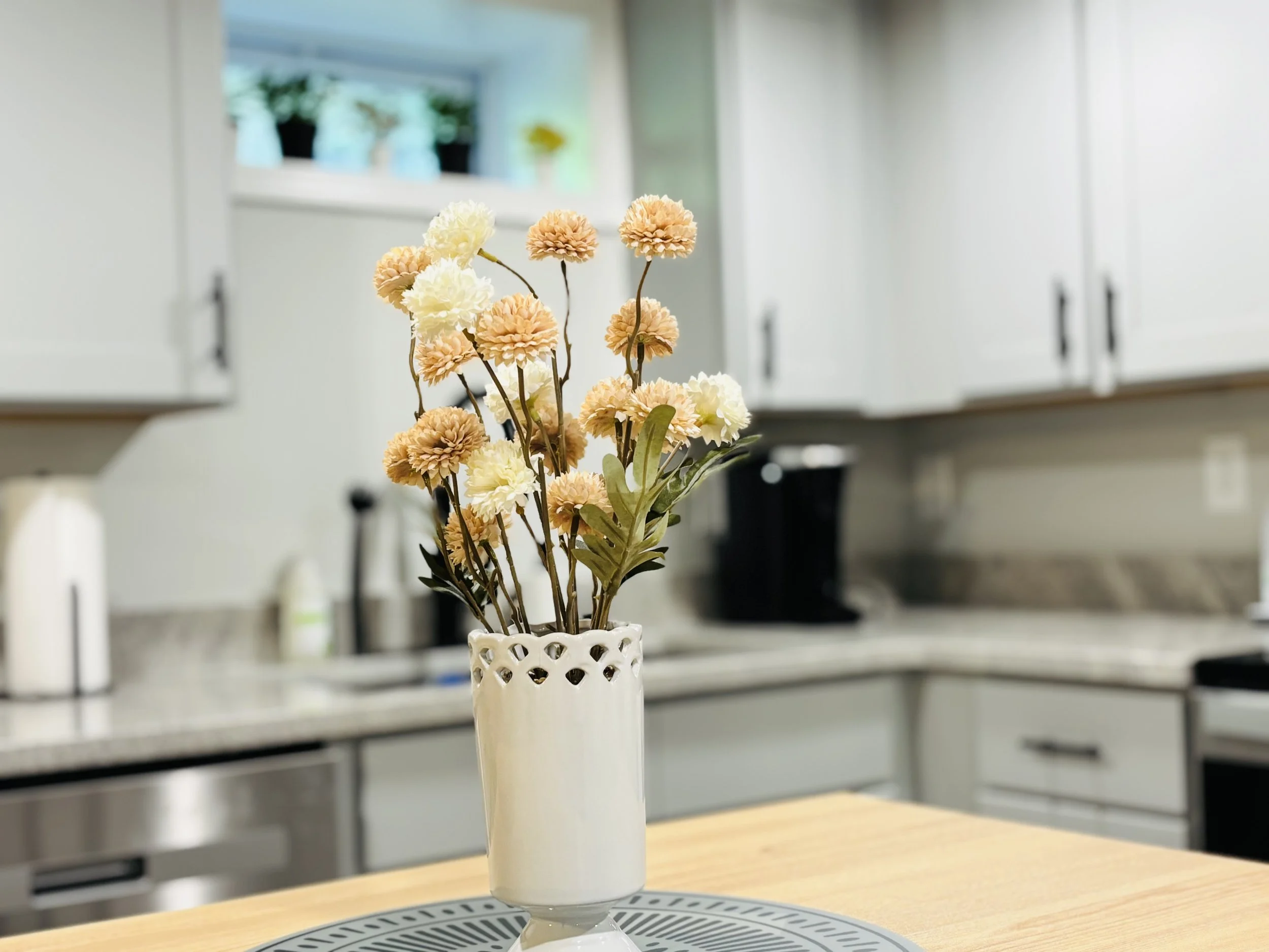 The Blue Jay - Providence, RI