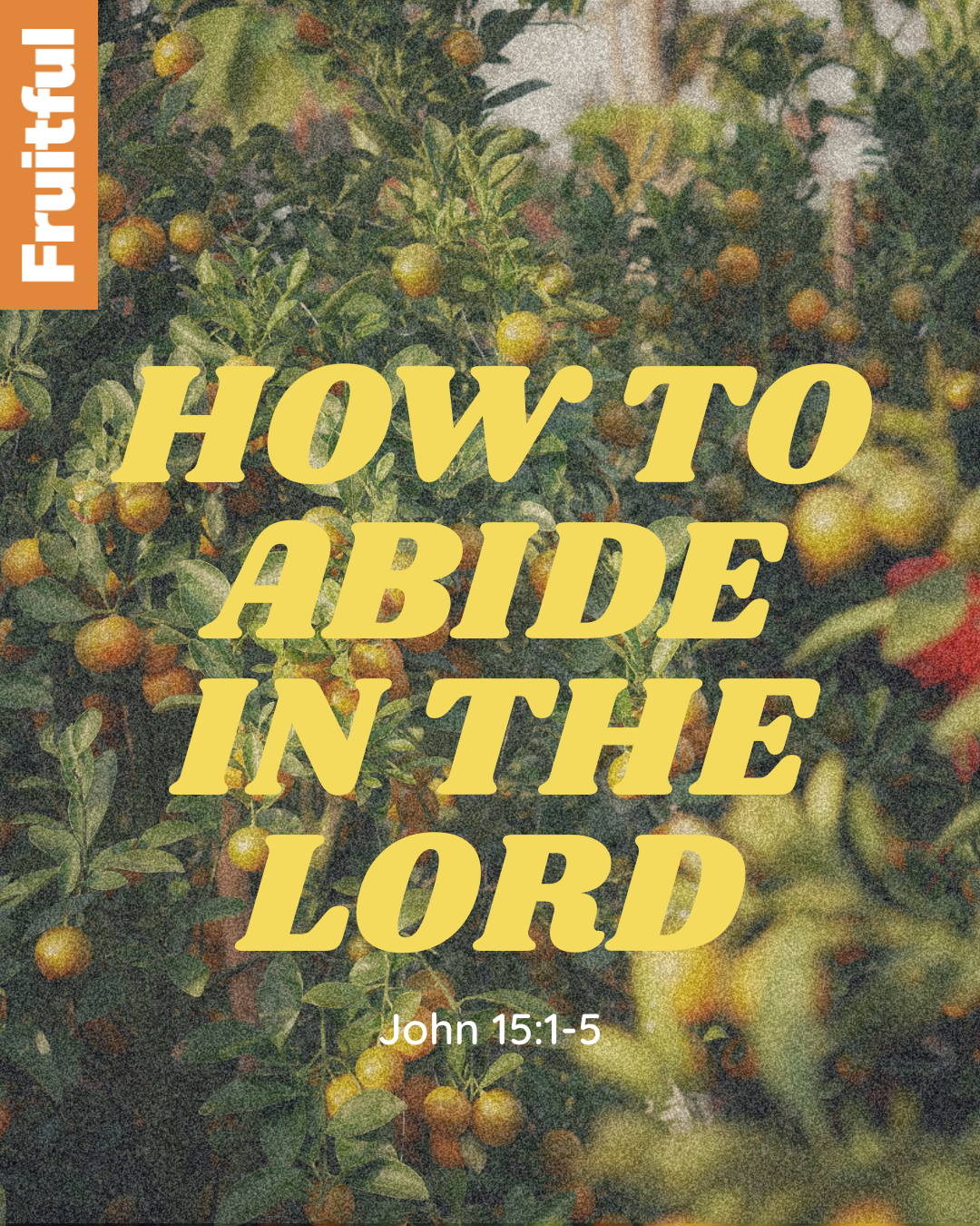 How to Abide in the Lord