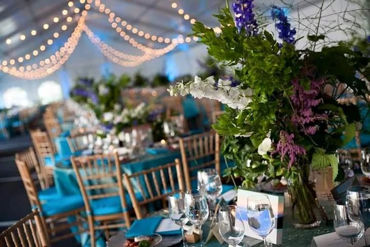 farnsworth - cafe & up-lighting  - frame tent.jpg