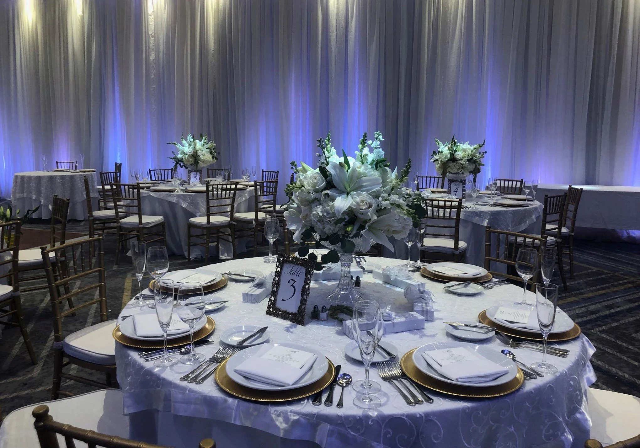 Cliff House Pipe & Drape with up-lighting.jpg