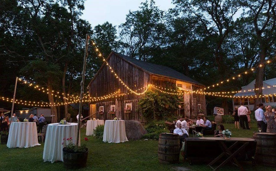 cafe lights from planters at Caswell Farm (2).jpg