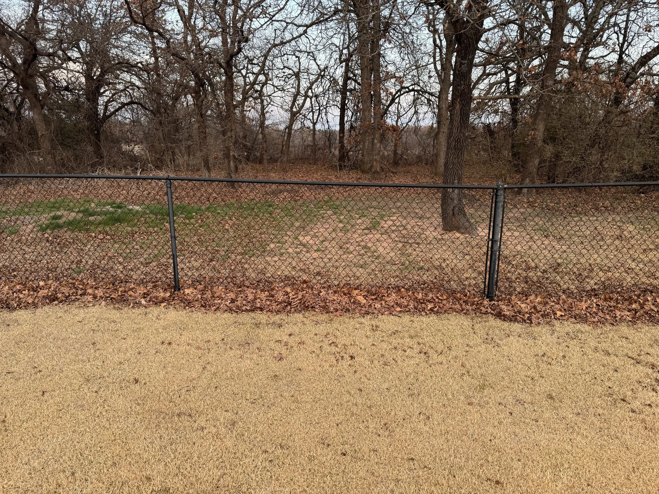 IMG_20260316_061149.jpg