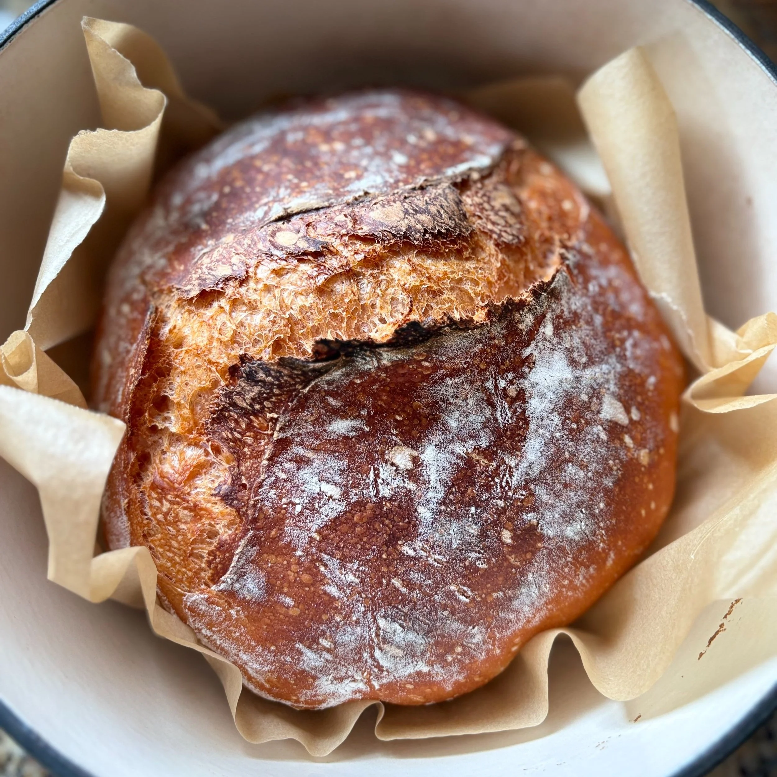 Tomato Sourdough