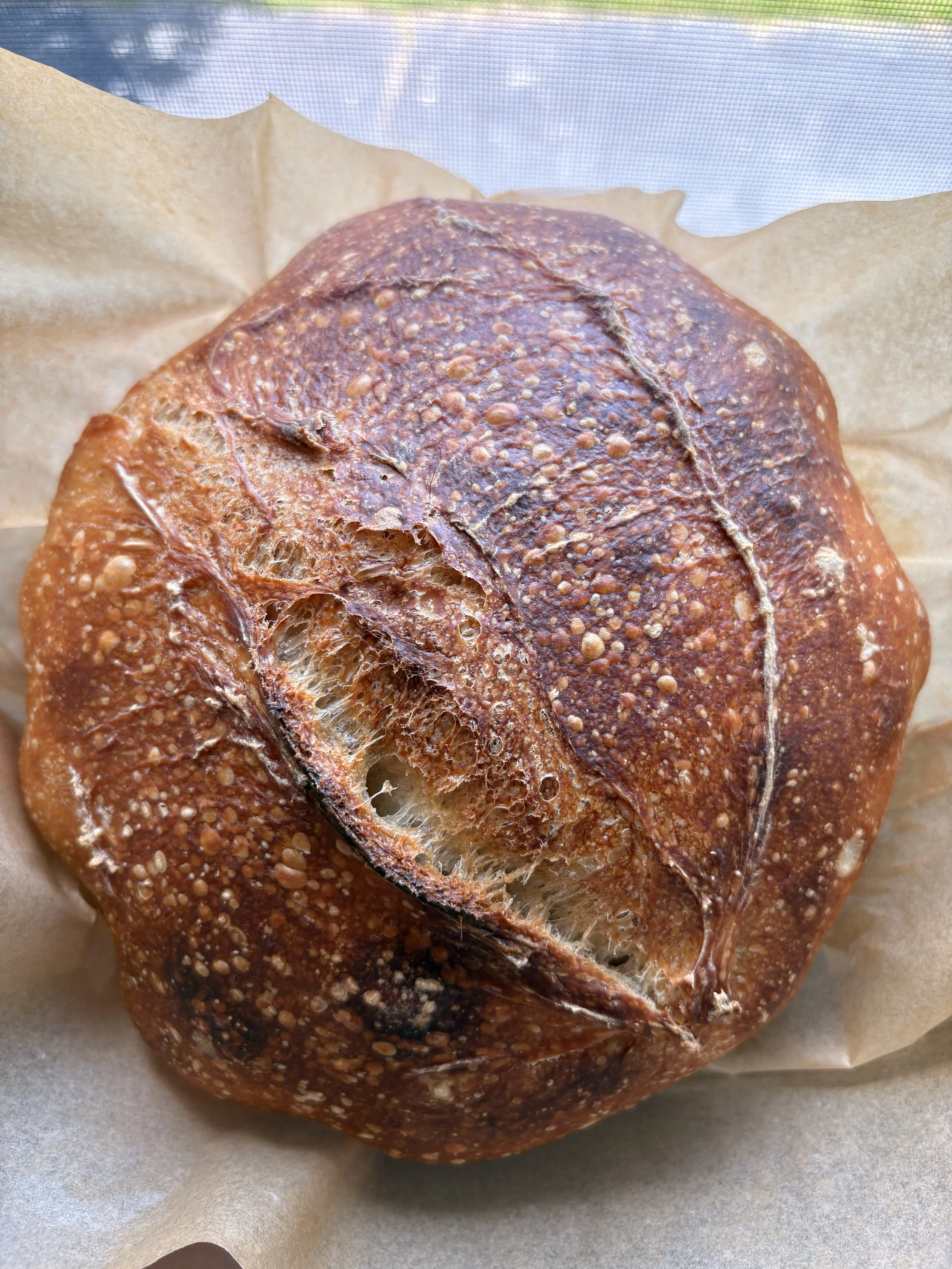 Classic Sourdough