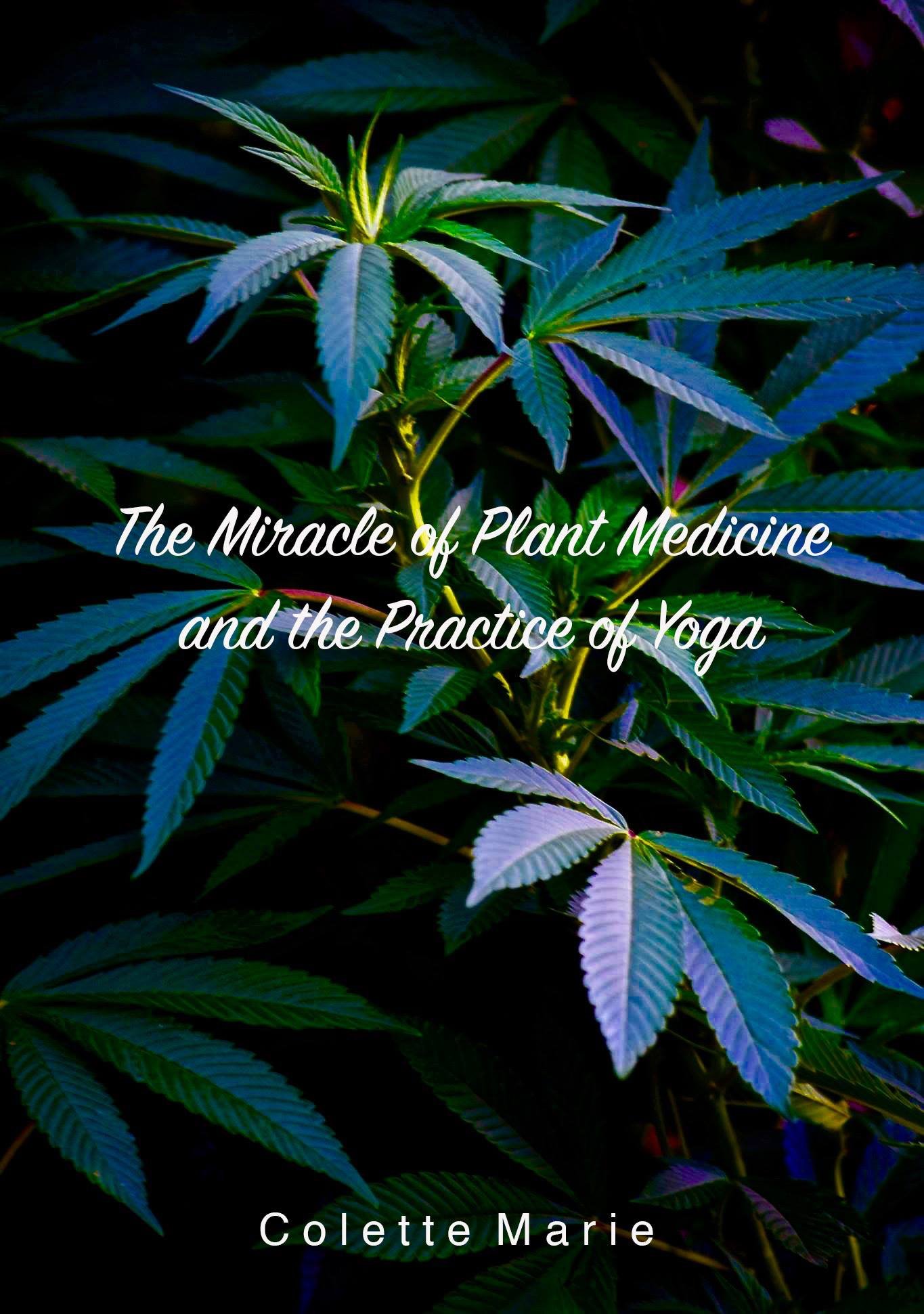 The Miracle of Plant Medicine & the Practice of Yoga is a synthesis of experiential data, research, and studies, which support the ritualistic and ceremonial connections between the more ancient forms of yoga and psychedelic plant medicine such as Ay