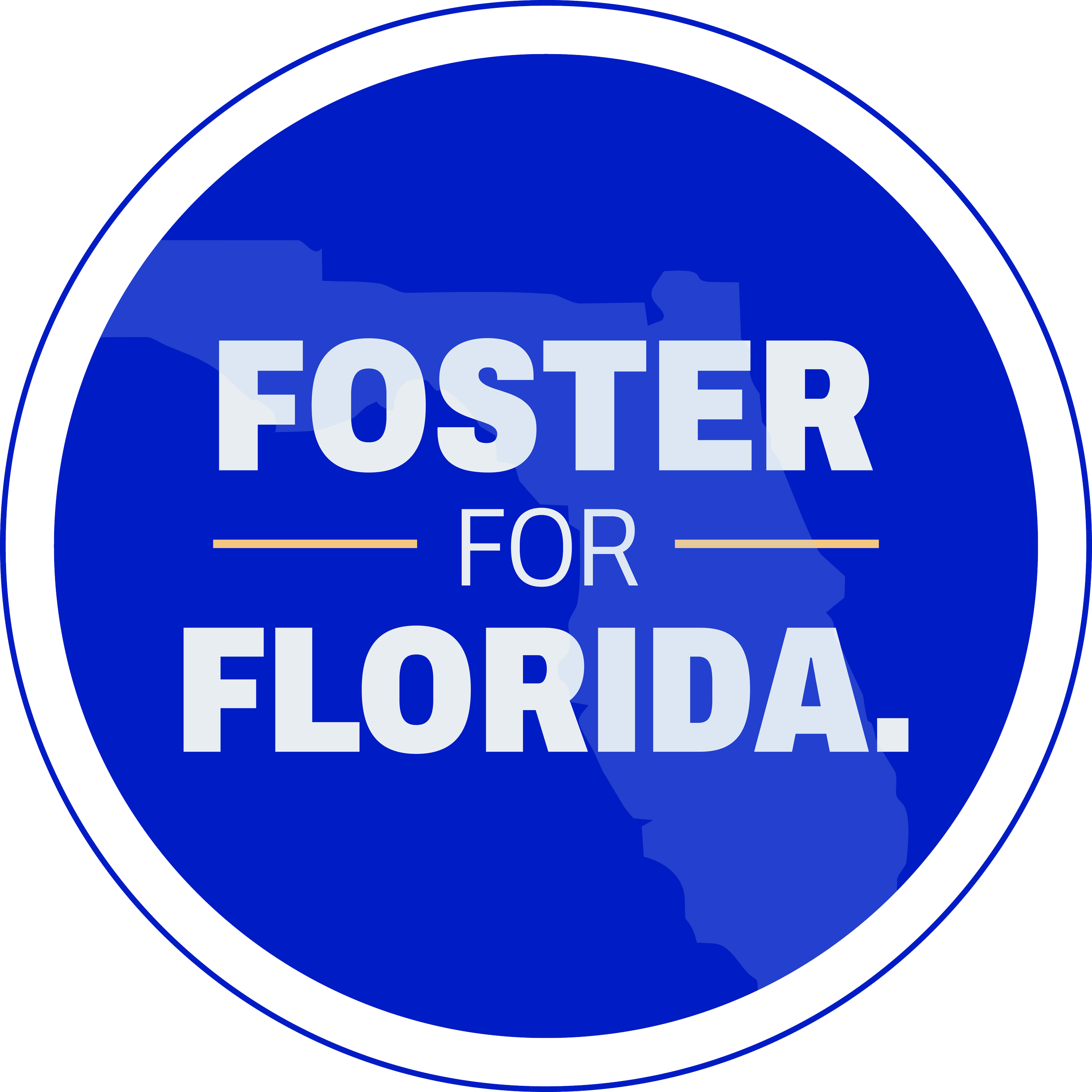 A circular blue badge with a faint map of Florida in the background and the text 'Foster for Florida' in white letters.