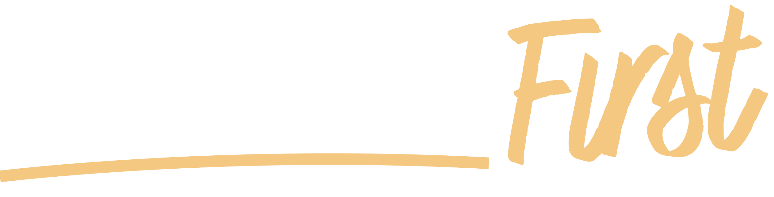 Text that reads 'Florida First' with 'Florida' in white, and 'First' in light yellow with a light yellow underline.