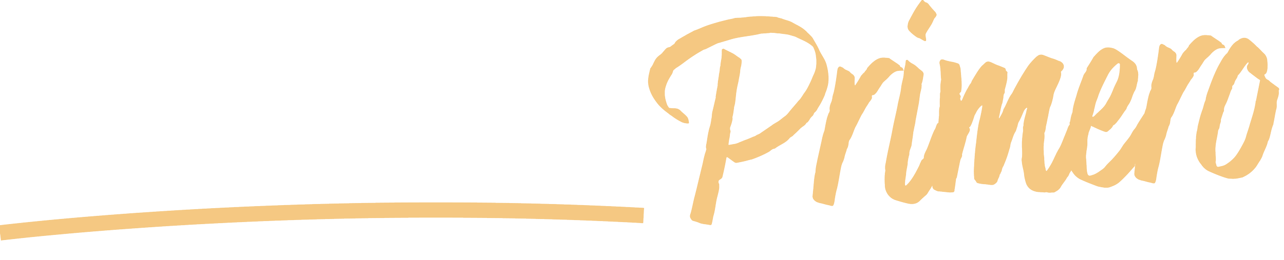 Logo for Florida Prime with the words 'Florida Prime' in white and gold lettering.