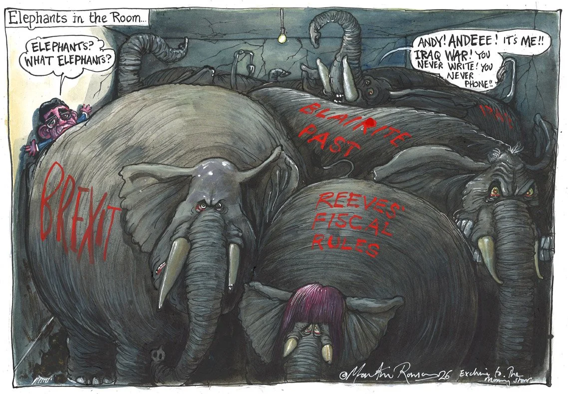 MorningStarElephantsintheRoom.jpg