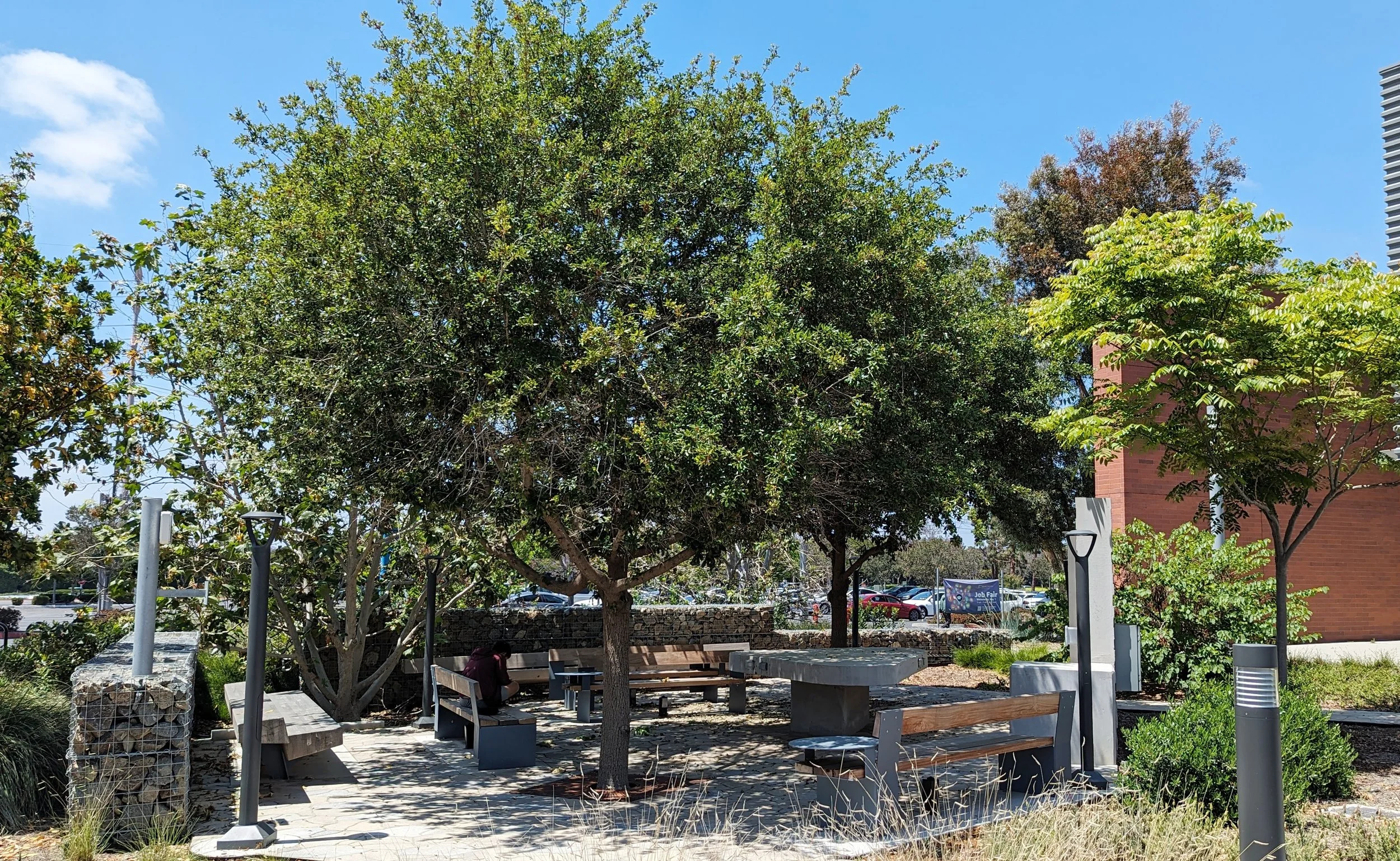 Irvine Valley College Outdoor Classroom