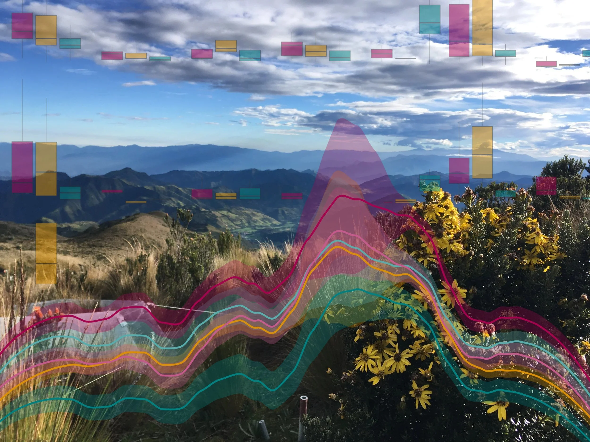 Range-Shift Simulations Indicate Early Signs of Plant Community Change: Nyika’s Poster at GREEBS 2025