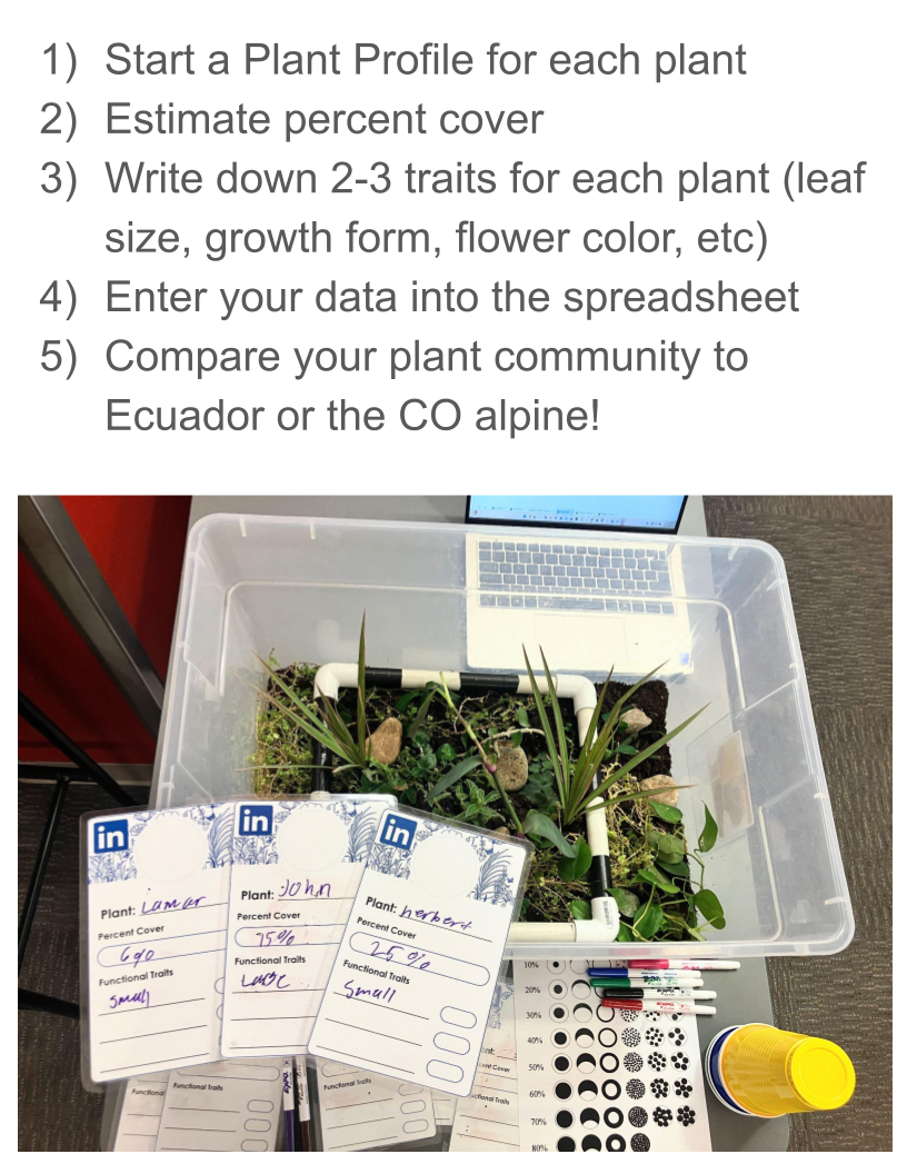 MtBio_Activity Visual Instructions (10).png