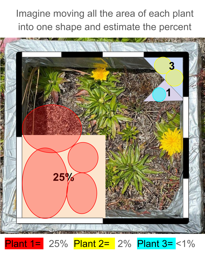 2_Activity Visual Instructions (7).png