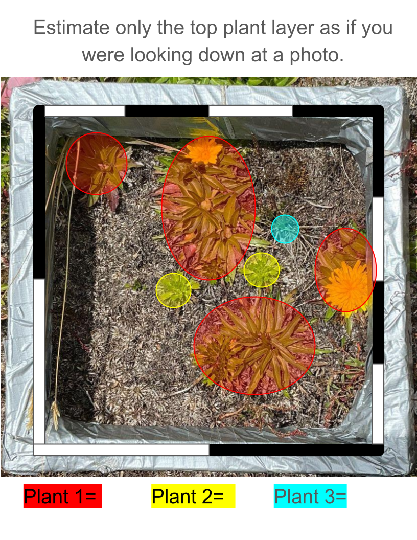 MtBio_Activity Visual Instructions (6).png