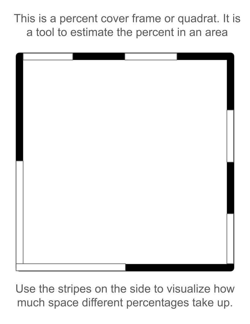 MtBio_Activity Visual Instructions (2).png
