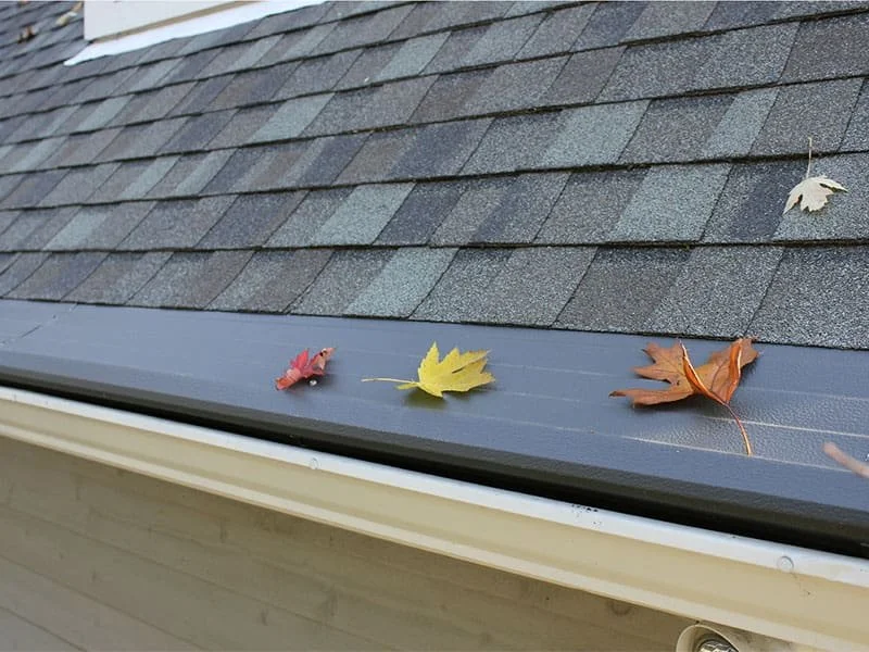 A solid reverse-curve style rain gutter guard with autumn leaves resting safely on top while water flows beneath into the channel.