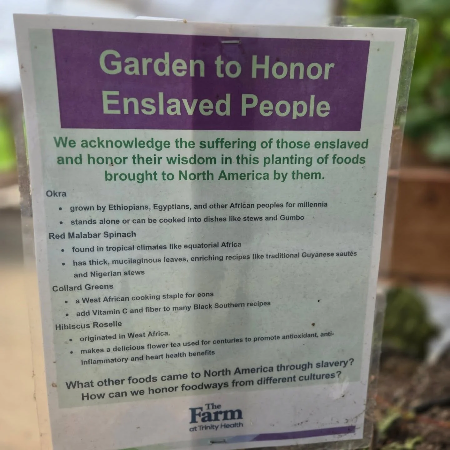 garden for enslaved people.jpg