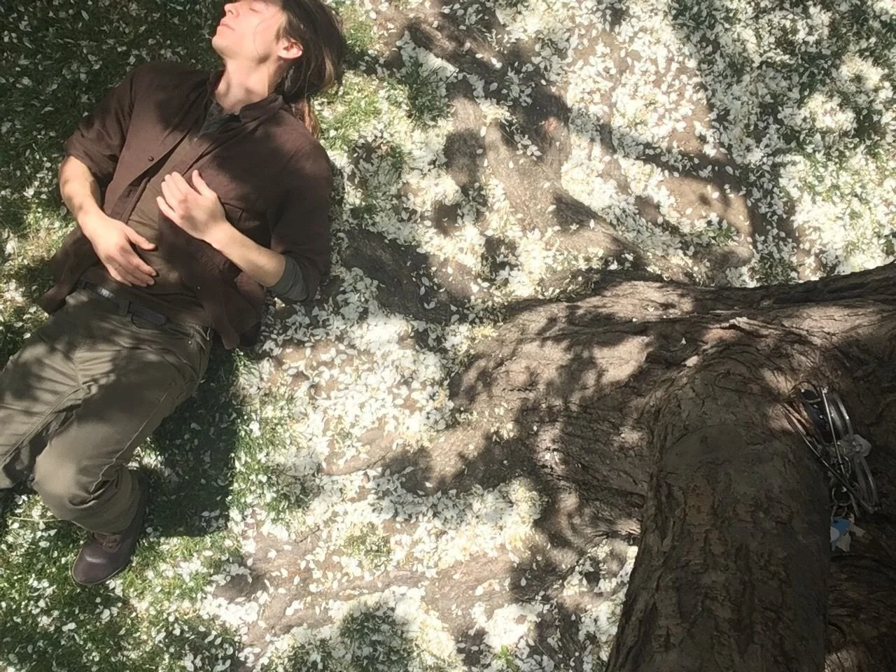 Free Downloadable Safety Protocol