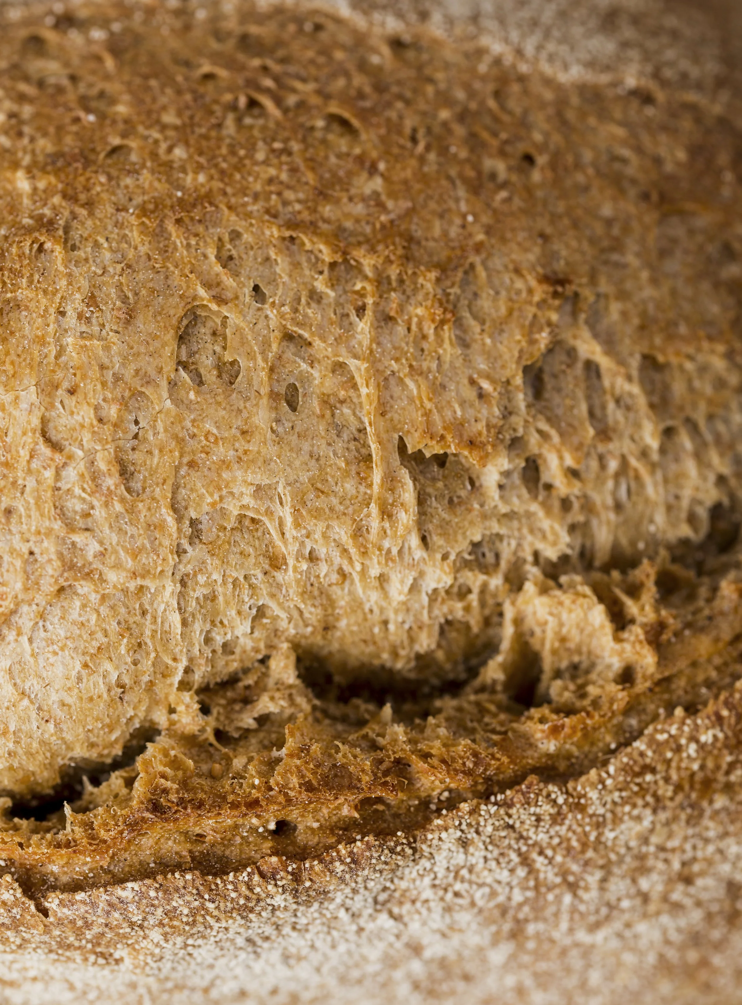 extreme-close-up-texture-baked-bread.jpg