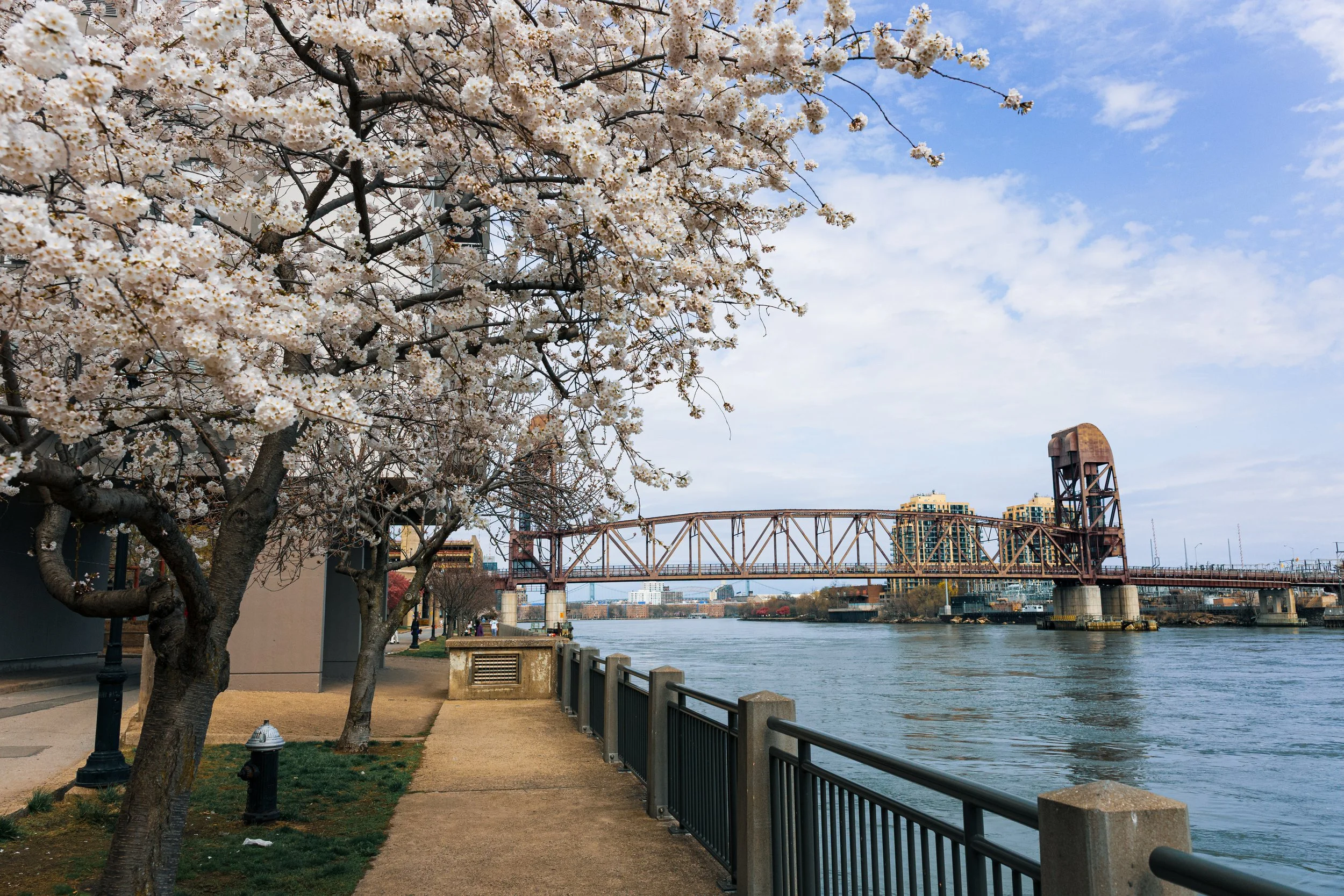 Blossoms_Bridge.jpg