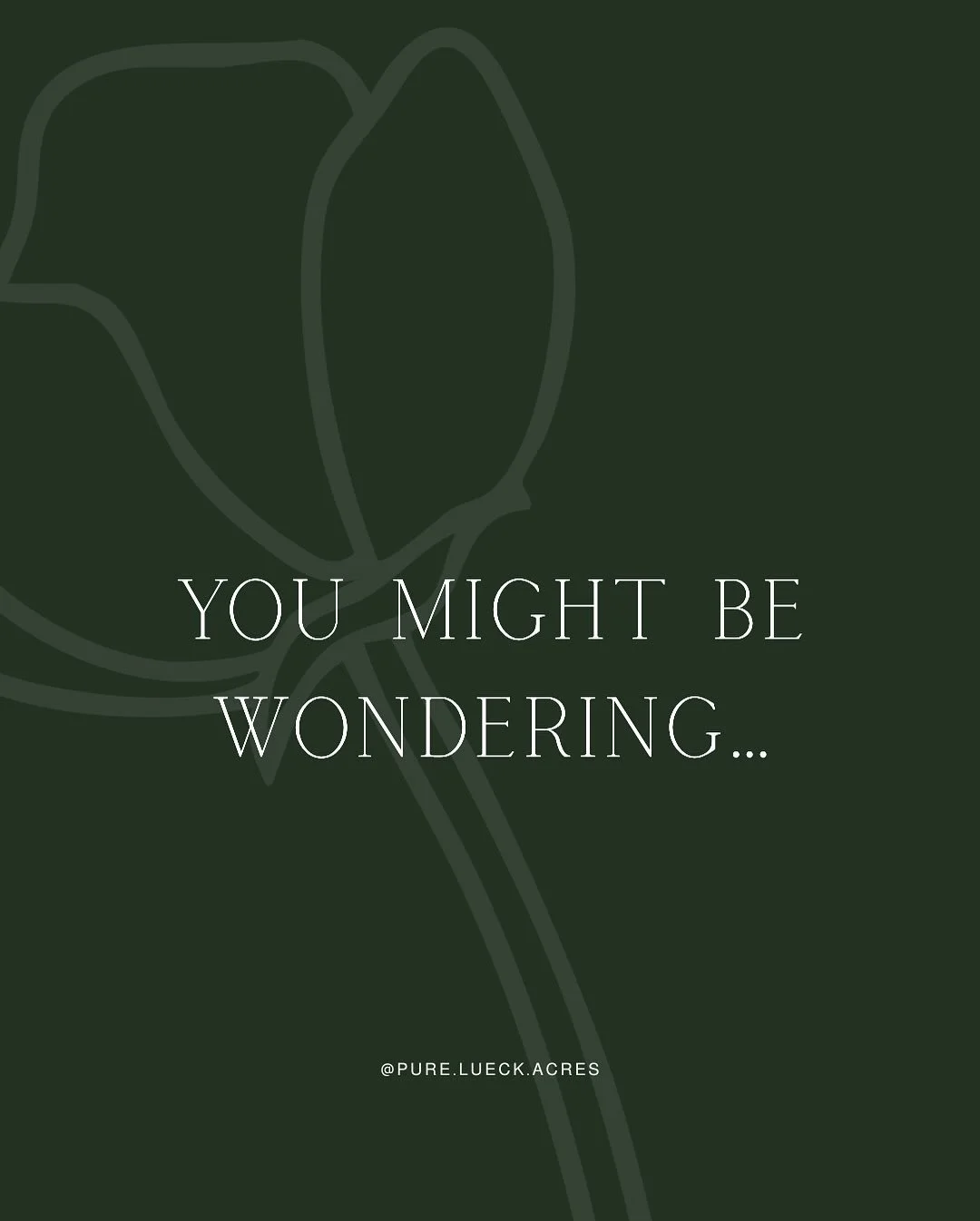 Anything else you&rsquo;d like to know?

&bull;
&bull;
&bull;
&bull;
#purelueckacres #faq #shoplocalleduc #wetaskiwin #camrose #sherwoodpark #smallbuisness #tulips