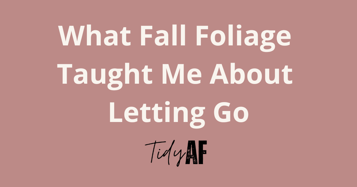 What Fall Foliage Taught Me About Letting Go
